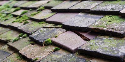 Llanilar roof repair costs